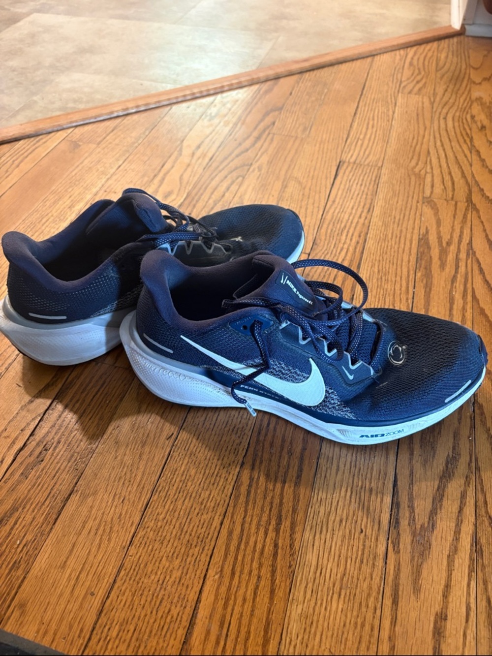 Nike Pegasus 41 Penn State Running Shoes